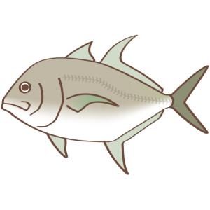 いろいろ 太刀魚 イラスト 透明なpng画像を検索してダウンロードする
